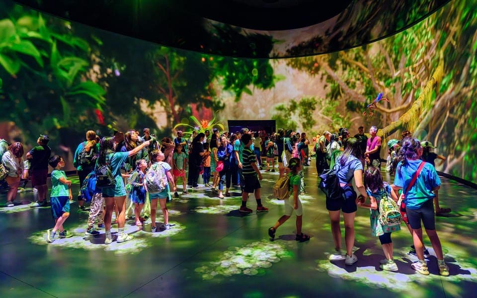 American Museum of Natural History Ticket Gallery Image 3