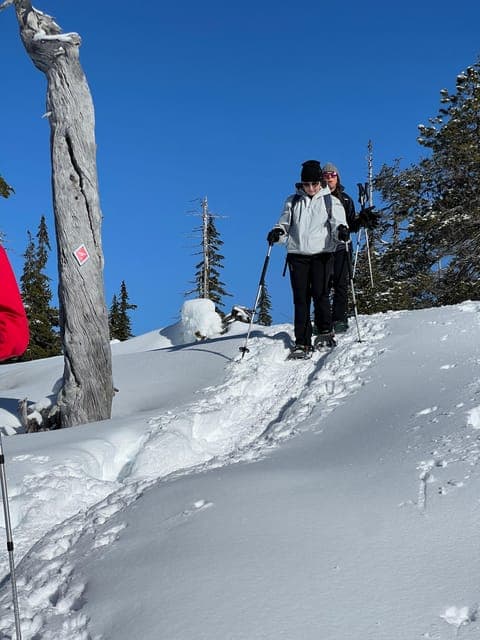 Snowshoeing At The Top Of The Sea To Sky Gondola Gallery Image 4