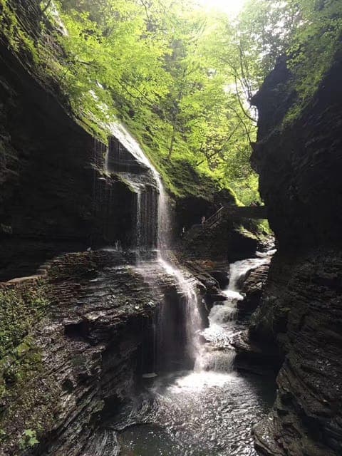 From NYC: Niagara Falls, Washington DC & Philly 3-Day Tour Gallery Image 2