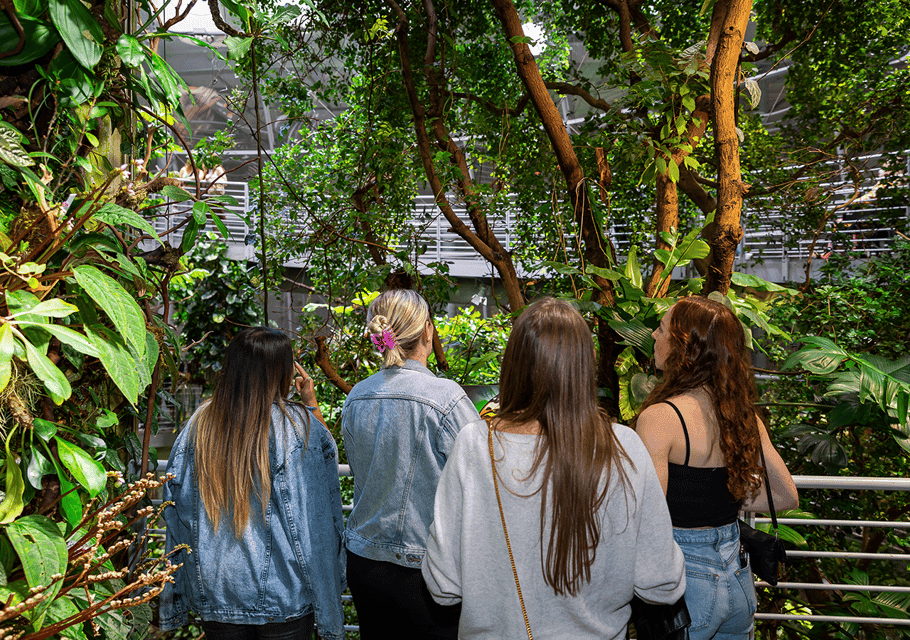 California Academy of Sciences NightLife Plus Admission Gallery Image 4