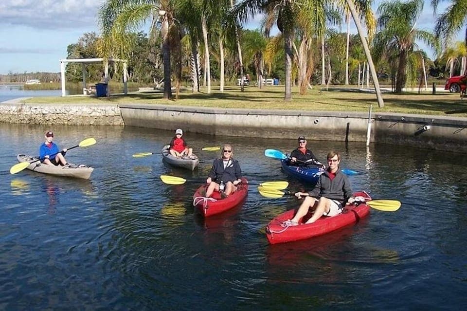 Crystal River: Guided Kayak Tour with Manatee Encounters Gallery Image 4
