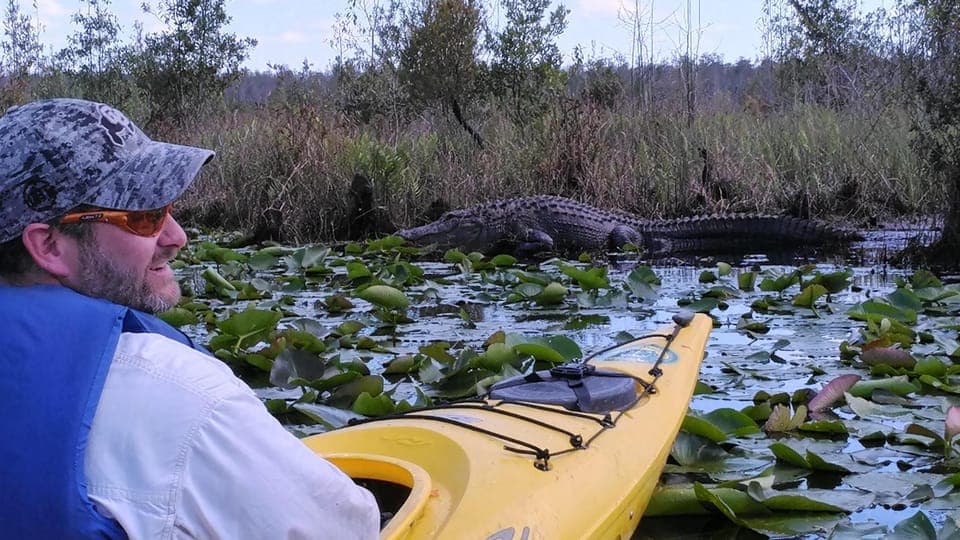 Orlando Alligator Experience: Day-Trip From Orlando Gallery Image 4