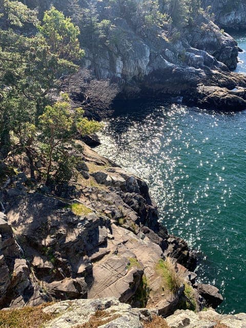 5. Lighthouse Park Hike - Image 5
