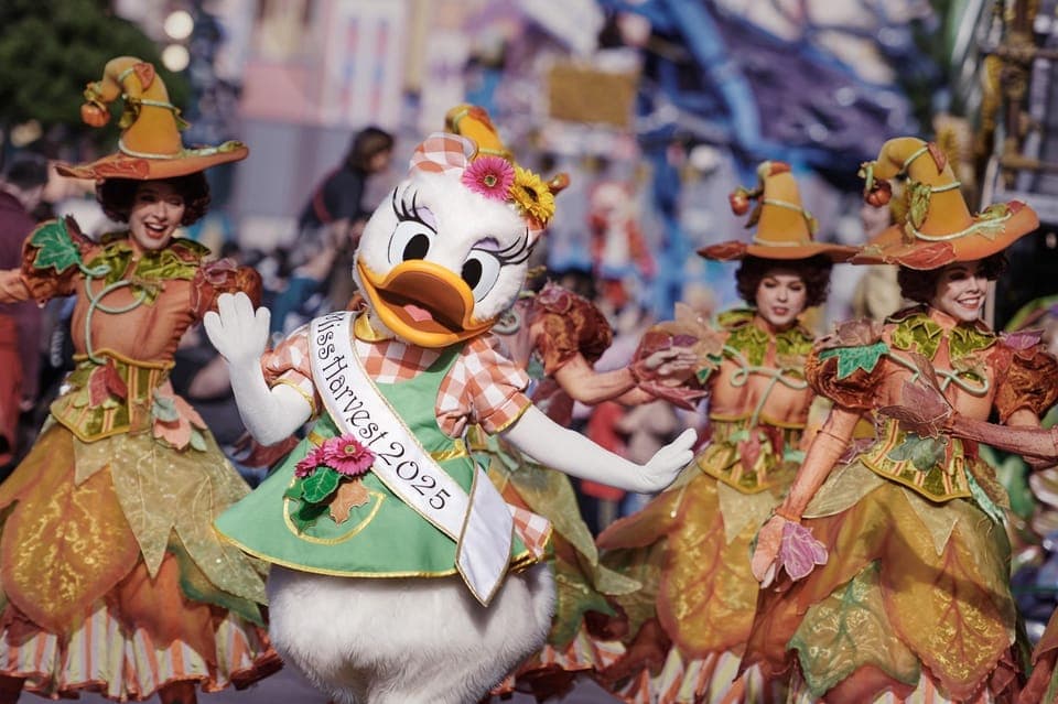 Disneyland Paris Ticket with Transfer Gallery Image 4