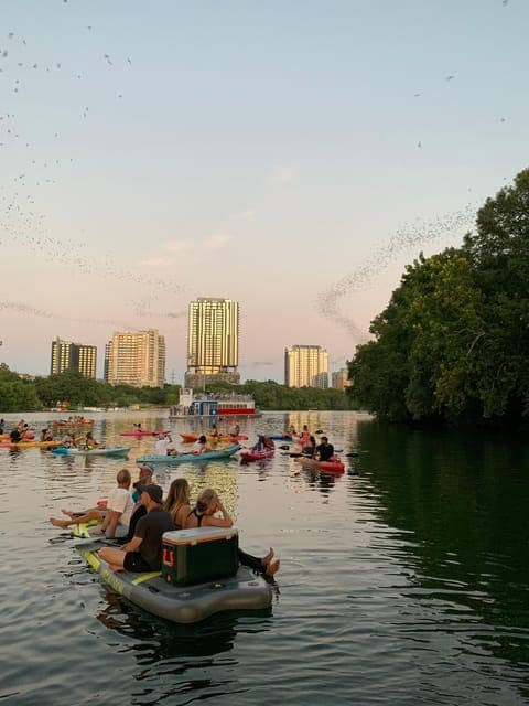 Giant Paddleboarding Tour Downtown at Sunset w/ Bats Gallery Image 3