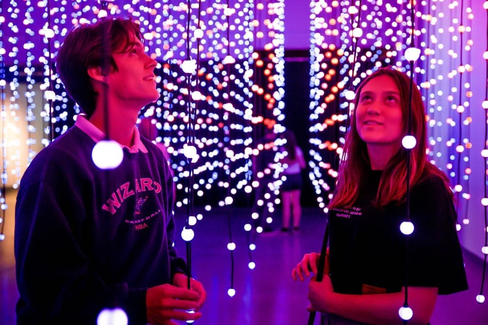 Wonderspaces Interactive Art Exhibition Entry Ticket Gallery Image 4