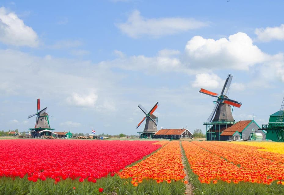 Zaanse Schans, Windmills & Volendam Private Tour Gallery Image 3