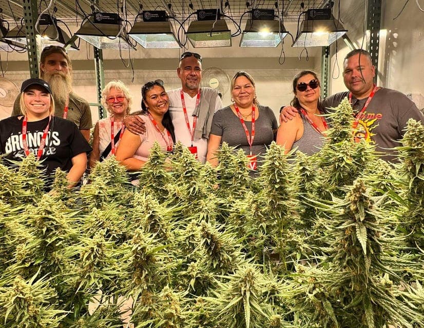 Cannabis Tour with Grow Facility Access Gallery Image 3