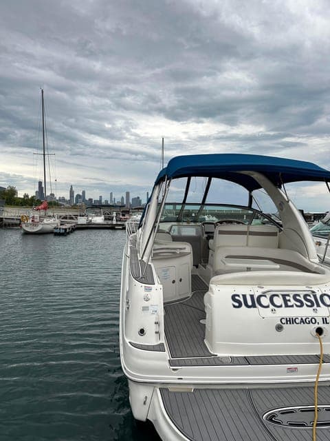 Private Chicago Boat Rental - Explore Chicago's Skyline Gallery Image 3