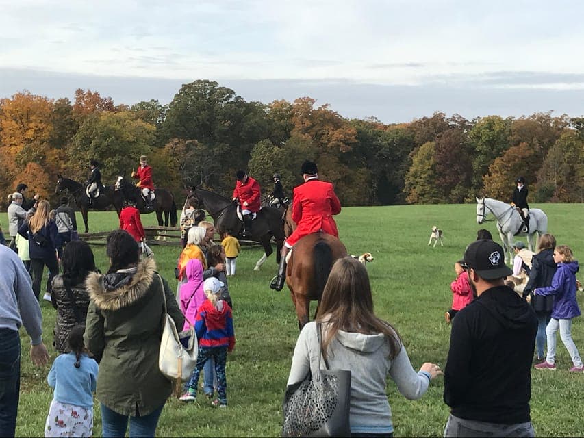Washington DC: Mount Vernon Half-Day Tour Gallery Image 4
