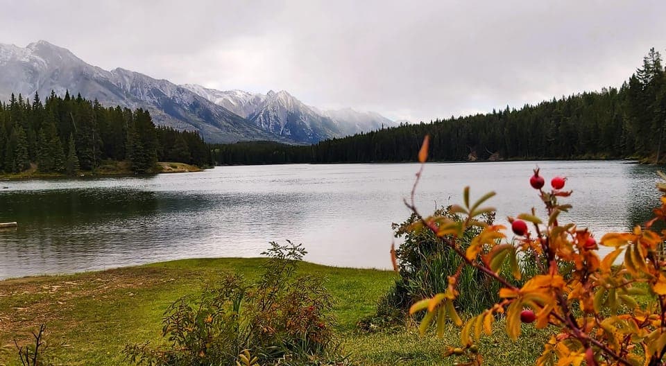 Banff National Park: Full-Day Adventure Gallery Image 2