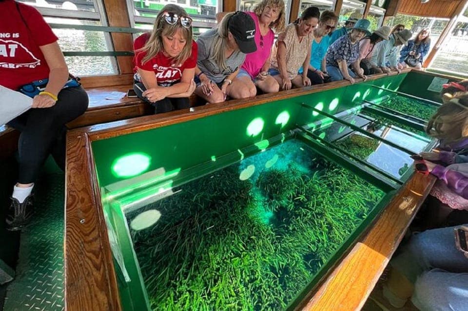 Small Group Silver Springs State Park Day Tour from Orlando Gallery Image 2