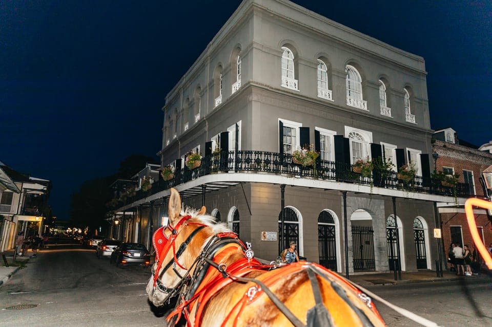 French Quarter Sightseeing Carriage Ride Gallery Image 2
