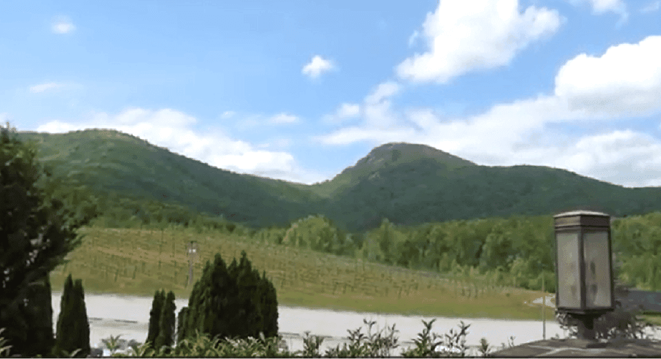 Georgia Vineyards Wine Tour Gallery Image 3