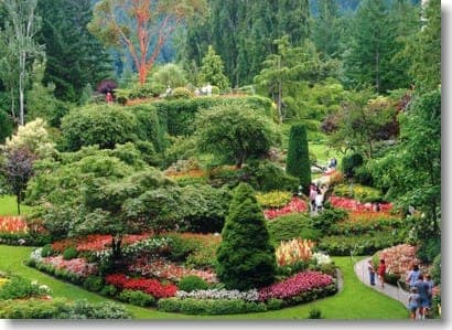 Victoria and Butchart Gardens by Seaplane Gallery Image 2