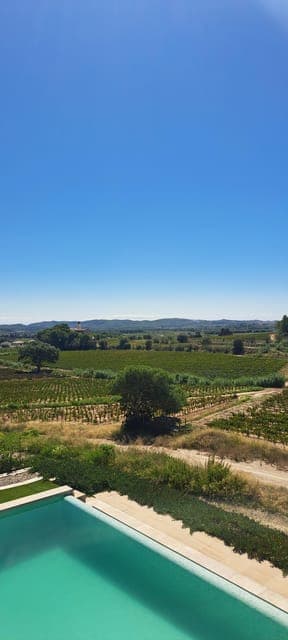 Penedès Vineyard Horseback Ride with Wine Tasting - Image 5