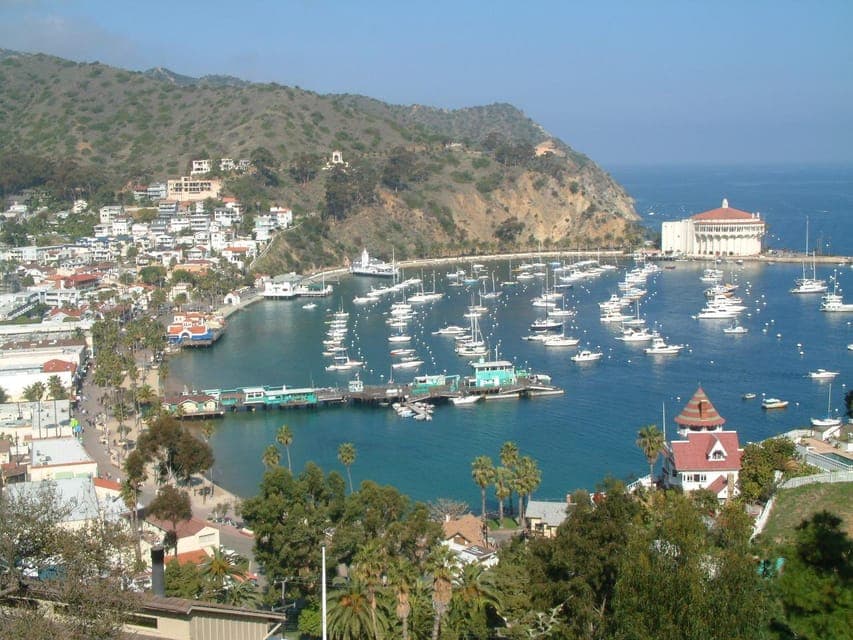 Catalina Island City & Scenic Mt. Ada Tour Gallery Image 2