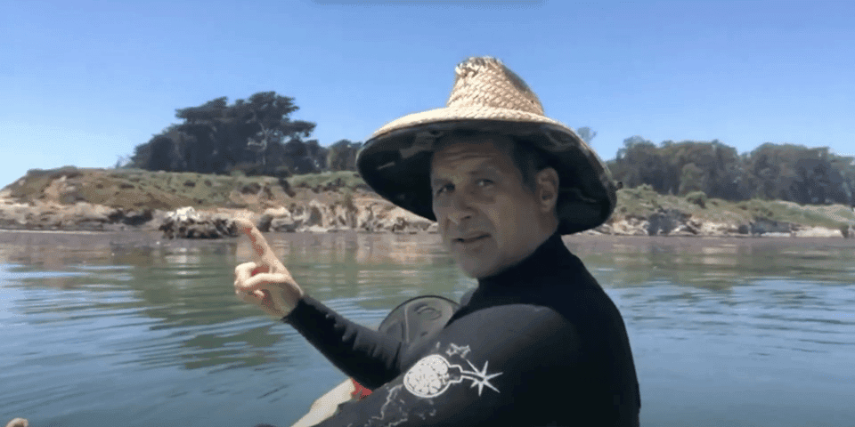 Redondo Beach: Kayak & Snorkel with Sea Lions Tour Gallery Image 4