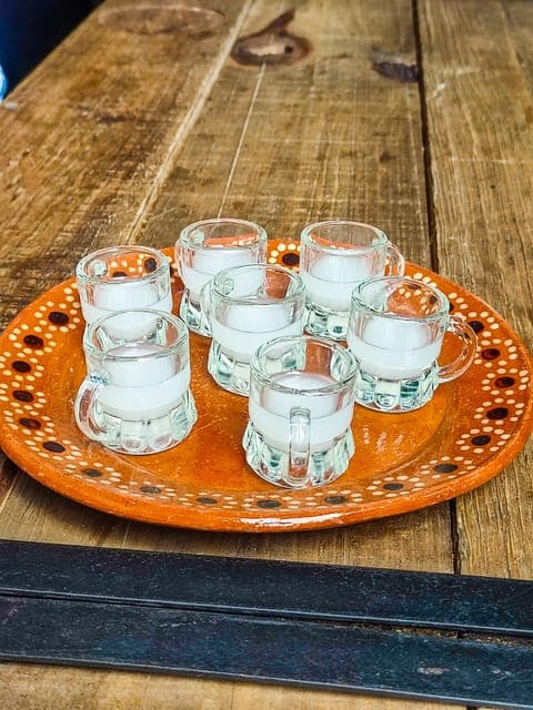 🟢Mexico Off The Beaten Track/ Street Food Bike Tour 🟢 Gallery Image 4