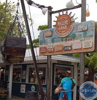 Key West Day Trip with Optional Activities Gallery Image 3
