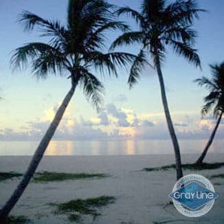 Key West Day Trip with Optional Activities Gallery Image 4