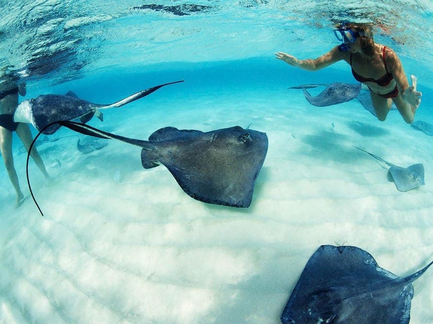 From Playa del Carmen: Xcaret Plus Park, the complete experience Gallery Image 4