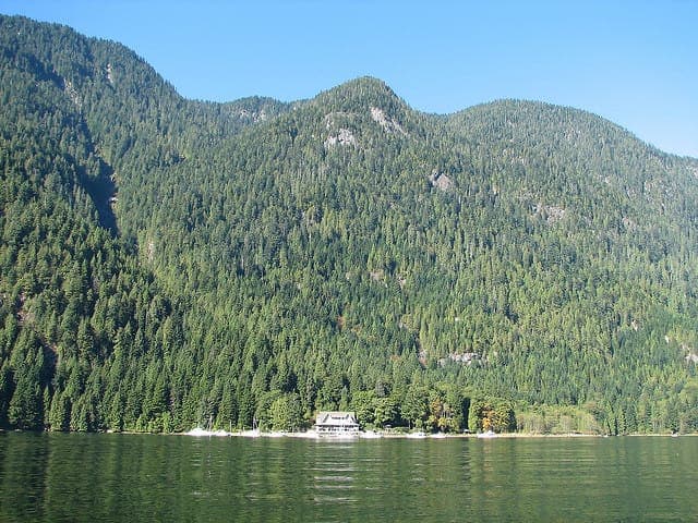 Vancouver Brunch Cruise Gallery Image 3