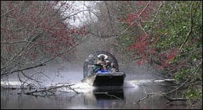 Airboat Tour of Louisiana Swamps Gallery Image 1