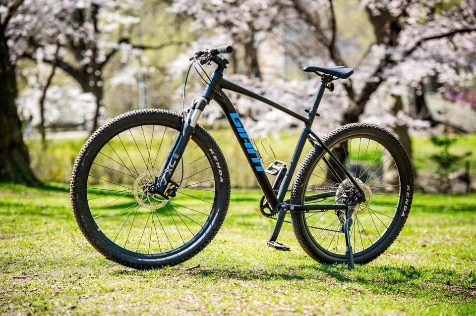 Central Park Bike Rental - Image 2