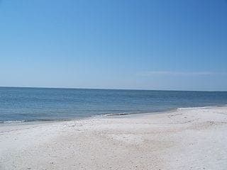 Day Trip to Clearwater with Sea Screamer Ride Gallery Image 2