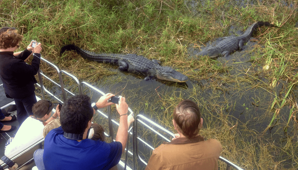 Everglades Airboat Ride and Wildlife Park Ticket Gallery Image 2