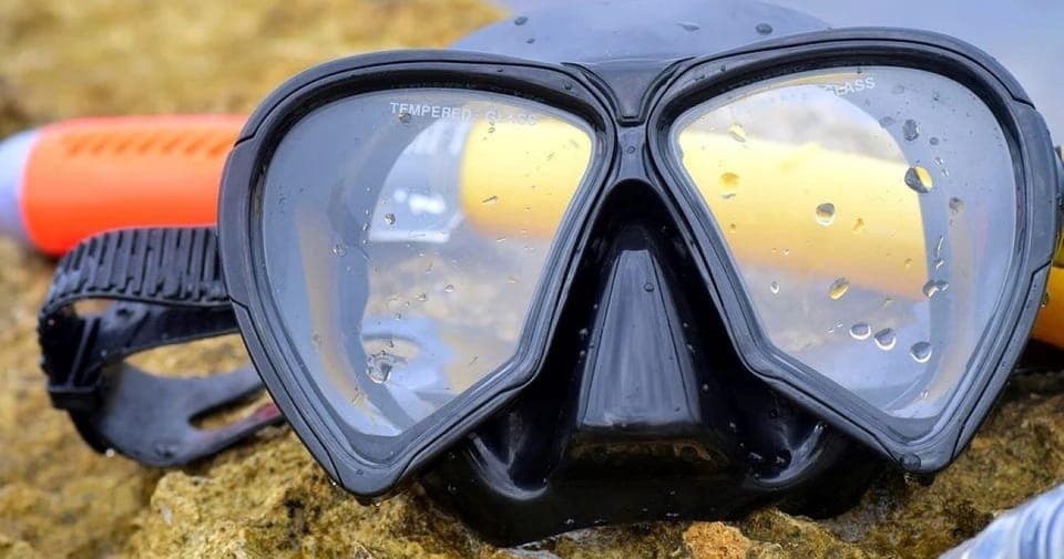 28. From Cancun: Snorkeling Cozumel The Heaven - Image 28