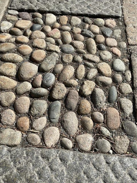 Boston's Beacon Hill: Small Group or Private Walking Tour Gallery Image 2