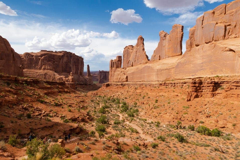 Private 3 Days Spiritual Aerial Adventure Safari Gallery Image 2