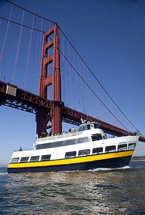 Hop-On Hop-Off City Bus Tour and Bay Cruise Gallery Image 3