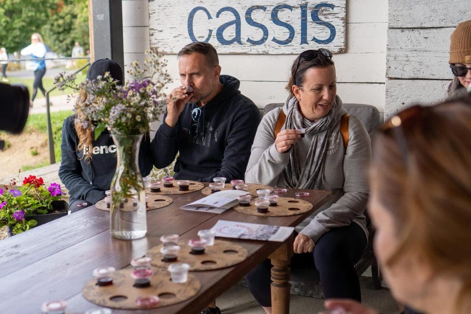 Quebec City - E-Tandem Rental on Ile d'Orléans Gallery Image 2