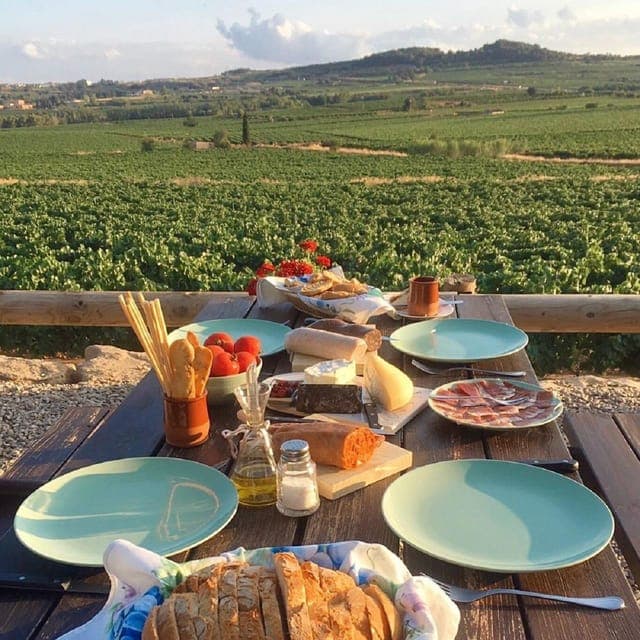 3 Penedes Wineries with Hotel Pick-up and Lunch Gallery Image 3