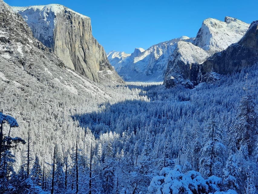 SF: Yosemite National Park Tour with Optional Alcatraz Visit Gallery Image 4