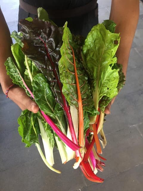 7. Farmer's Market + Street Food Walking Tour - Chef Curated - Image 7