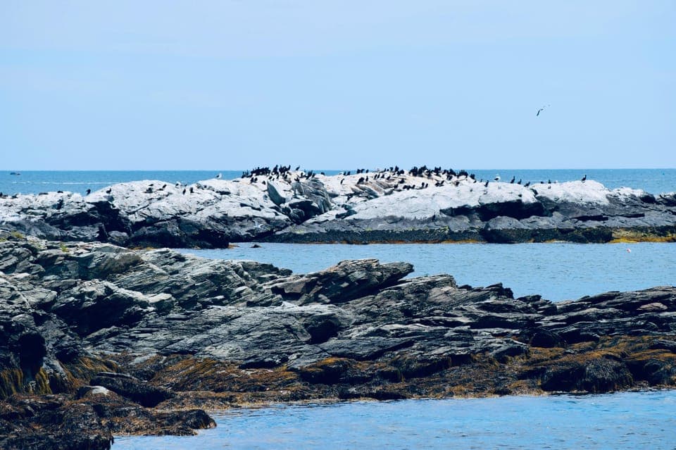 4-Day VIP Tour to San Francisco & Yosemite Gallery Image 1