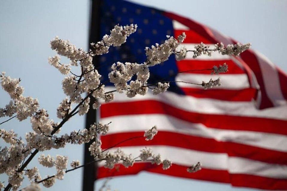 Washington, DC: Private Tour by Van to Honor Our Heroes Gallery Image 3