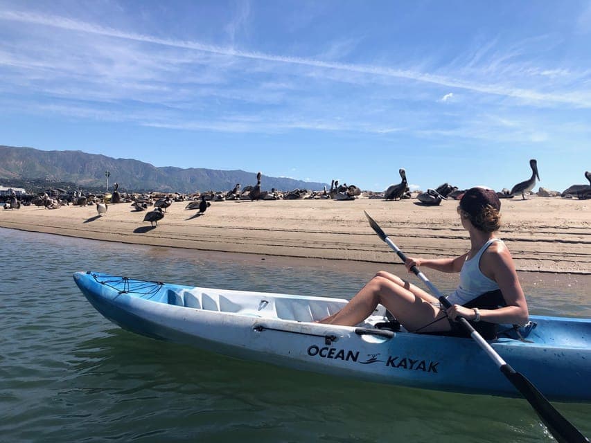 West Beach: Kayak Rental Gallery Image 4