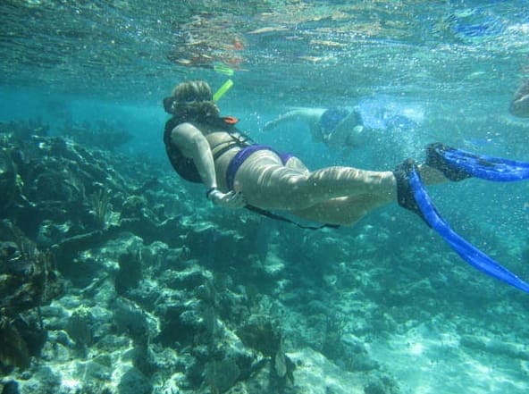 From Puerto Aventuras: Share Catamaran Tour Gallery Image 3