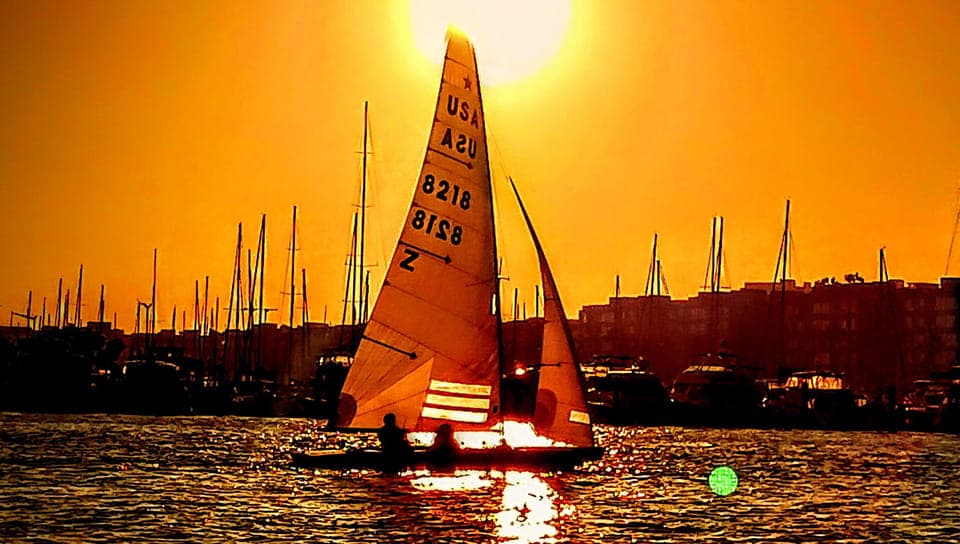 Capture LA's Coastal Magic-Wildlife, Marina Photography Tour Gallery Image 3