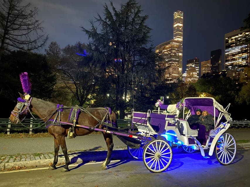 Private Christmas Lights Horse Carriage Ride Gallery Image 4