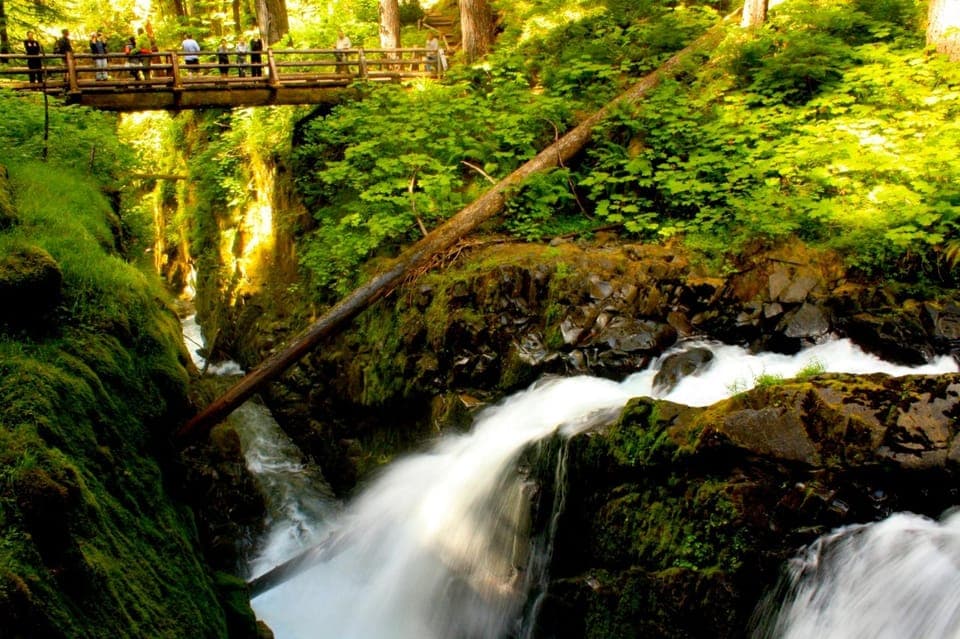 Small Group: Olympic National Park Day Tour From Seattle Gallery Image 4
