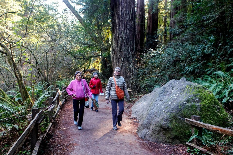 Muir Woods & 3 Wineries in Napa & Sonoma Gallery Image 4