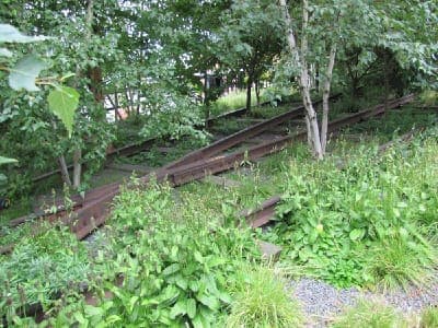 High Line Walking Tour Gallery Image 3
