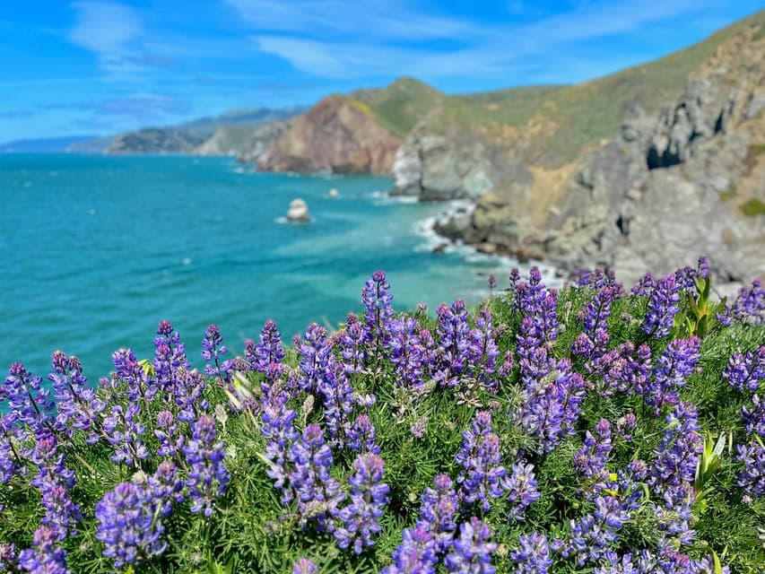 CUSTOM PHOTO ADVENTURES TO THE BAY AREA'S MOST EPIC SCENERY Gallery Image 2