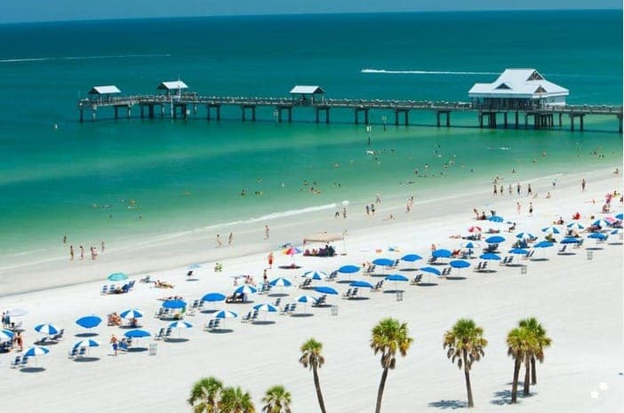 20. Clearwater Beach and Marine Aquarium Admission - Image 20